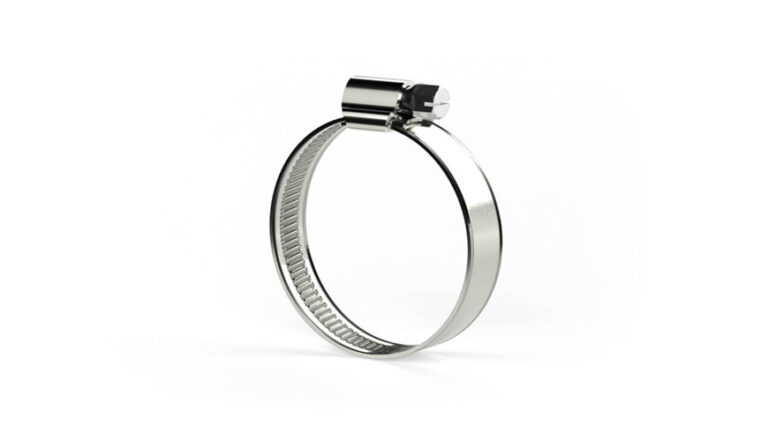 Hose clamp standard with worm screw - 2025